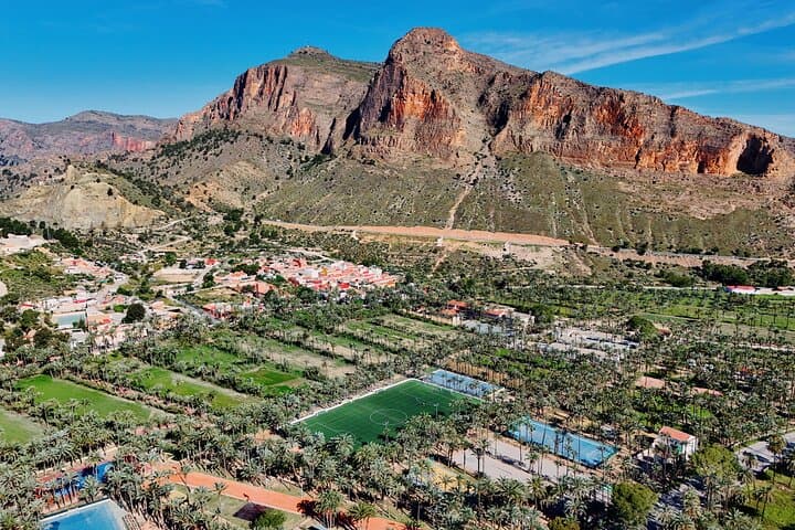 Visite privée d'une demi-journée à Elche depuis Alicante image 5