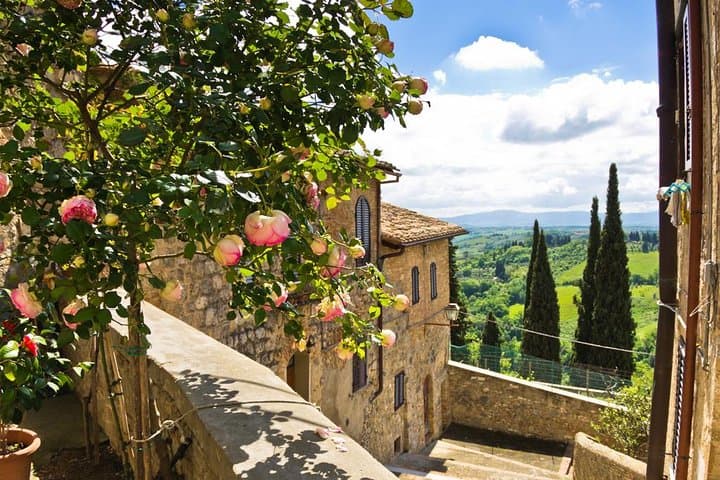 Chianti y sus castillos desde Siena con cata imagen 6
