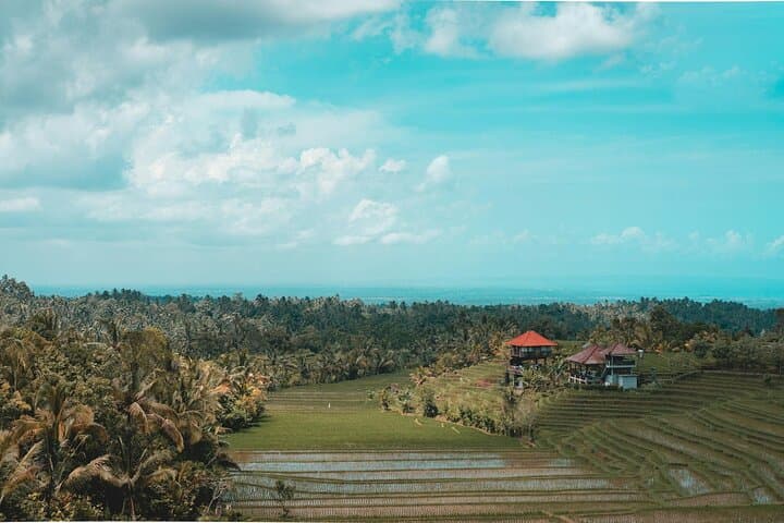 Visite privée d'Ubud à Bali : culture, nature et patrimoine image 5