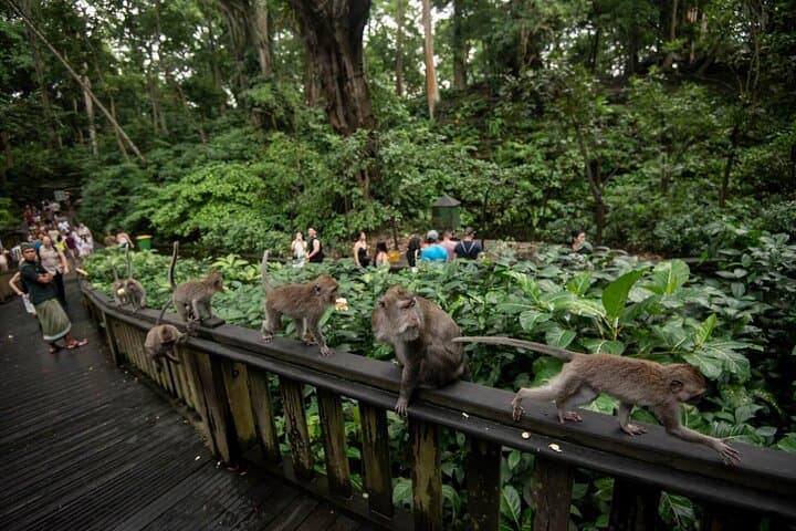 Visite privée d'Ubud à Bali : culture, nature et patrimoine image 2