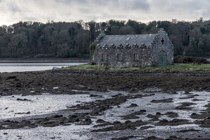 Excursión privada de un día a la costa de Belfast a Strangford Lough imagen 6