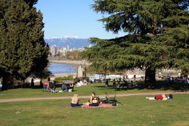 Visite privée de la ville et de la nature de Vancouver image 5