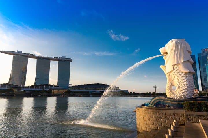 Visite privée d'une demi-journée de la ville de Singapour image 6