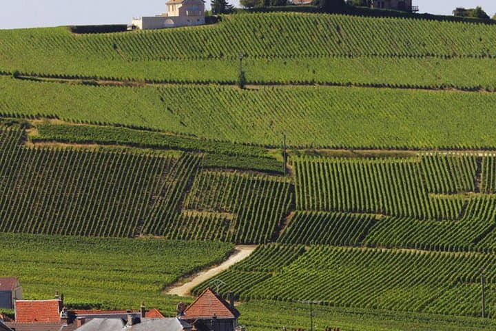Excursion privée d'une journée de Paris à Reims et en Champagne image 4