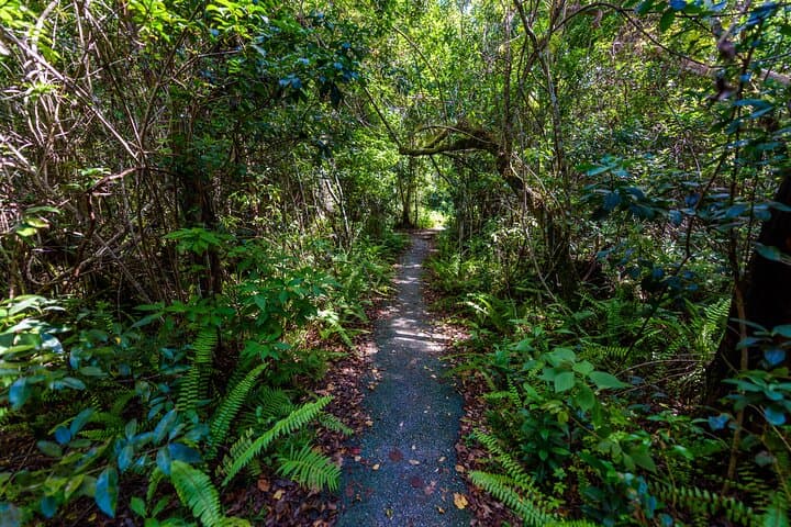 Visite privée en voiture du parc national des Everglades image 4