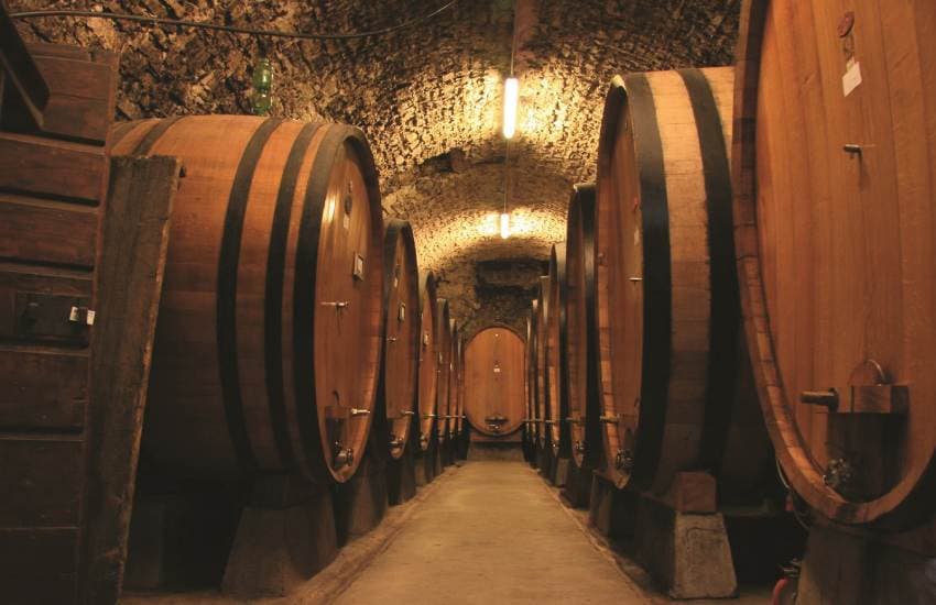 Chianti y sus castillos desde San Gimignano con catas imagen 4