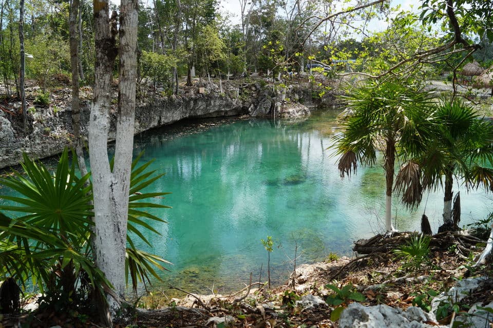 Tulum, Coba, & Cenote: Full-Day Tour image 6