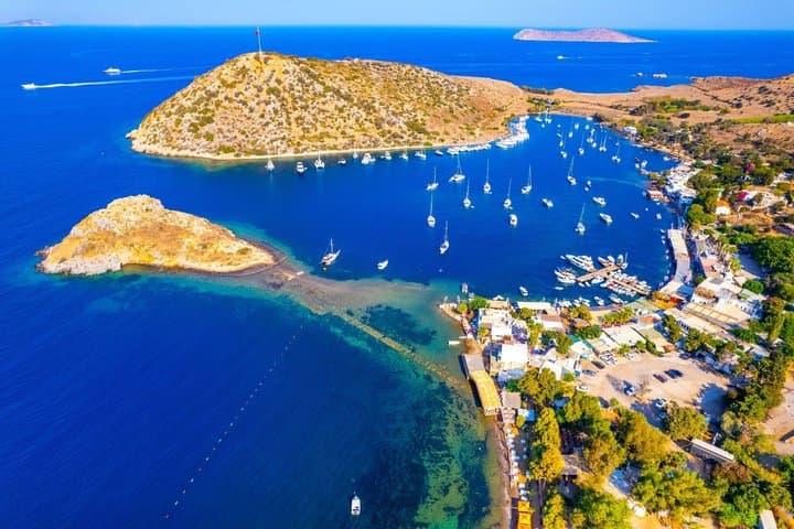 Excursión privada de un día a Bodrum, pueblos de la península, costa y vistas imagen 6