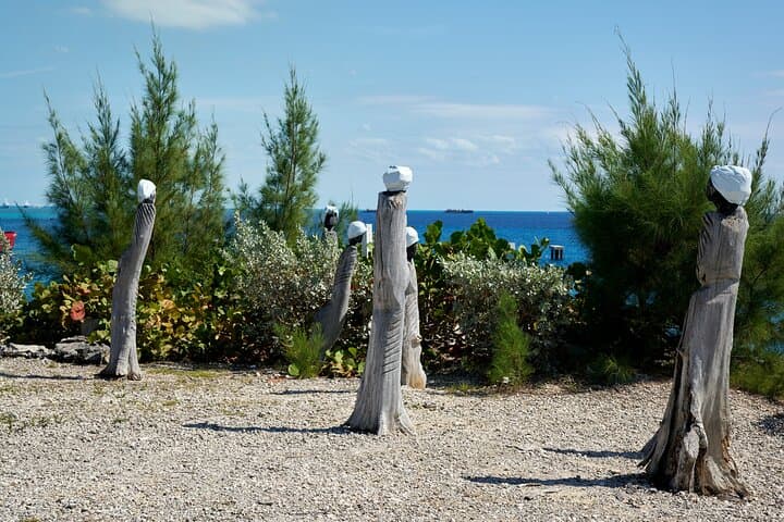 Visite privée d'une journée à Nassau image 5