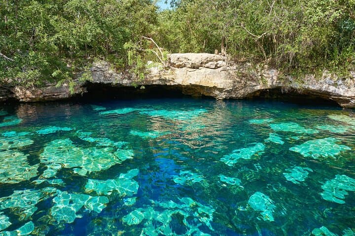 4 Cenotes Discovery Experience: Cave & Open Cenotes, Jungle Paths and Crystal Pools image 6