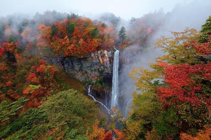 Excursión privada de un día a Nikko desde cascadas, lagos y montañas de Tokio imagen 2