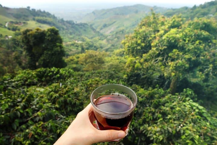 Visite privée d'une ferme de café à Medellin et vue sur la campagne image 3