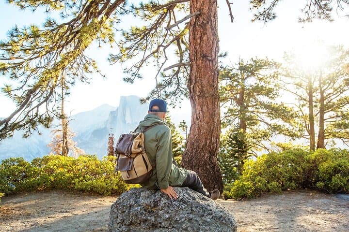 Tour privado de día completo al Parque Nacional Yosemite desde San Francisco imagen 5