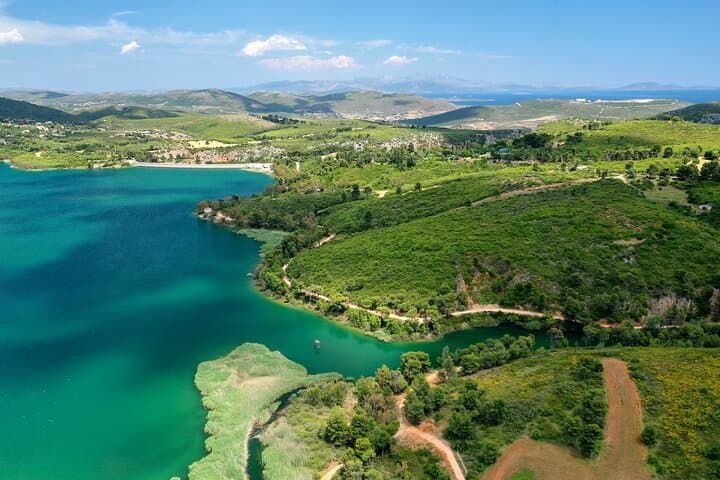 Excursión privada de un día de historia y cultura de Atenas al maratón imagen 2
