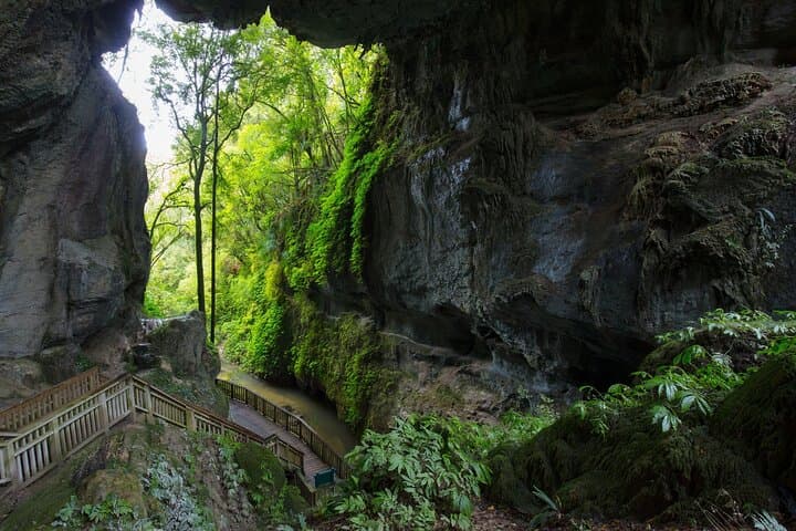 From Auckland: Wonders of Rotorua and Waitomo Tour image 4