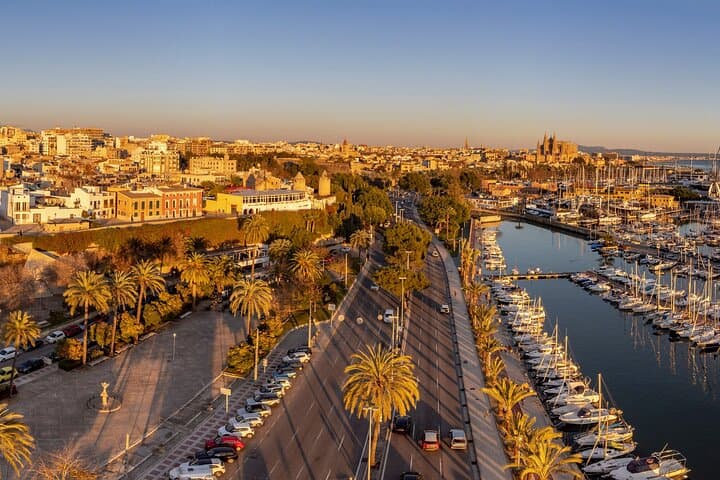 Excursion d'une journée à Palma de Majorque, à la plage d'EsTrenc et aux villages de Santanyí image 1