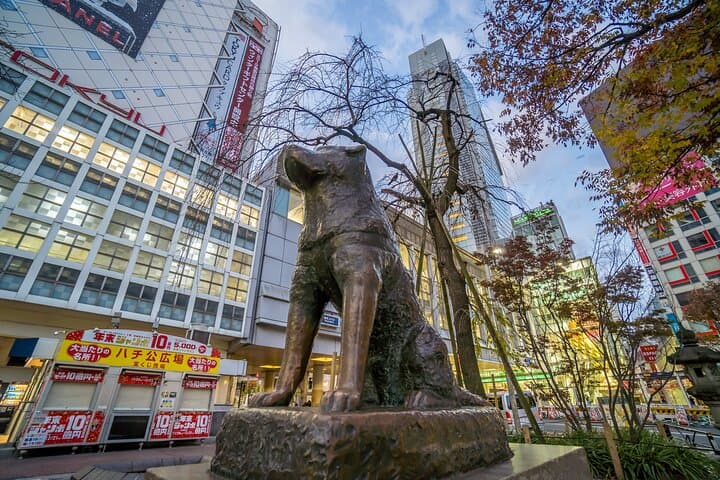 Visite touristique privée de Tokyo image 6