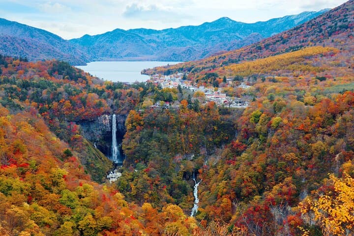 Excursión privada de un día a Nikko desde cascadas, lagos y montañas de Tokio imagen 1