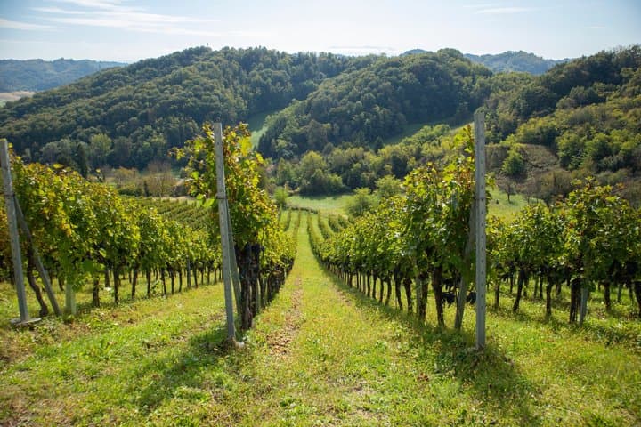 Excursión privada al casco antiguo y a las bodegas de Samobor desde Zagreb desde Airbnb White Sands Residencial foto 2
