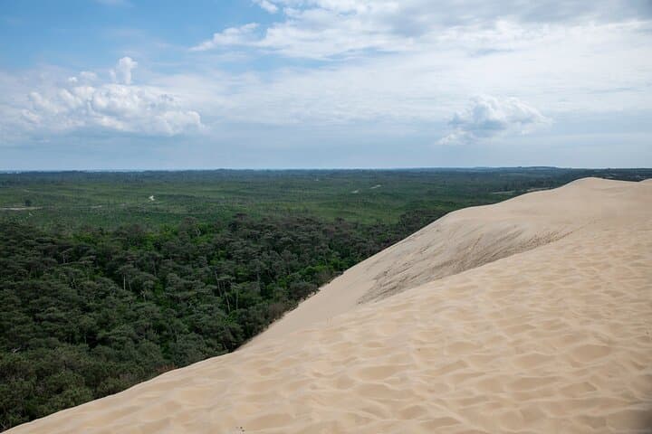 From Bordeaux Arcachon Bay and Pilat Dunes Day Trip image 3