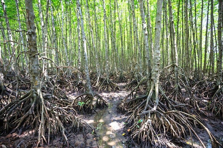 Visite privée des points forts d'Hô Chi Minh-Ville et évasion dans la nature image 2