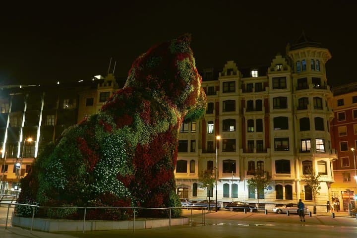Visite nocturne privée de Bilbao avec lumières et vues du Guggenheim image 4