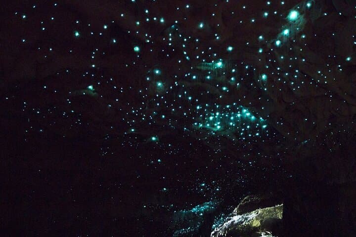 From Auckland: Wonders of Rotorua and Waitomo Tour image 2