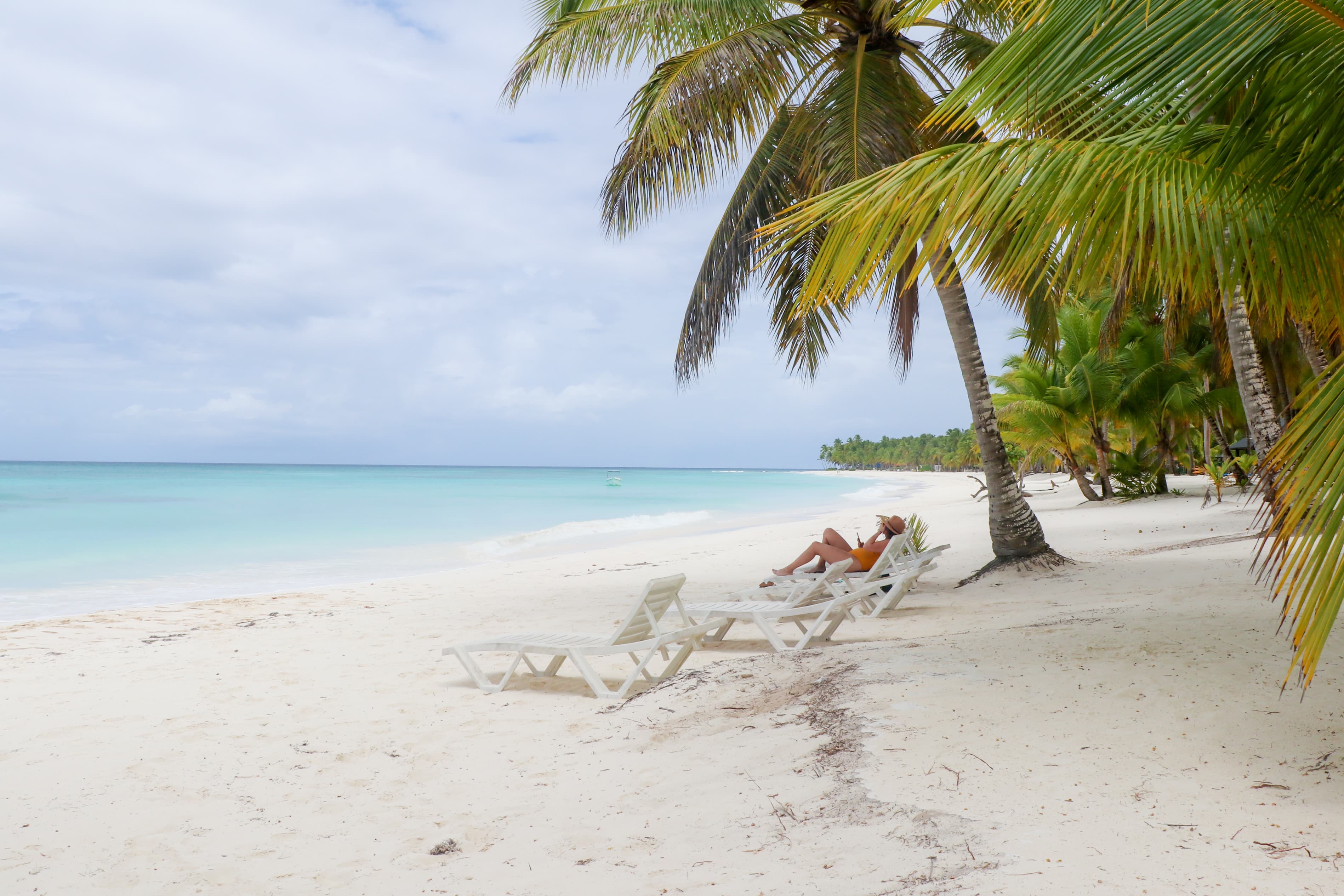 Expérience d'une journée premium sur l'île Saona image 6