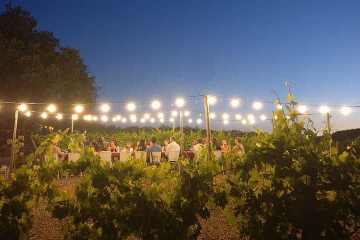 Cena entre los viñedos de Chianti desde Siena