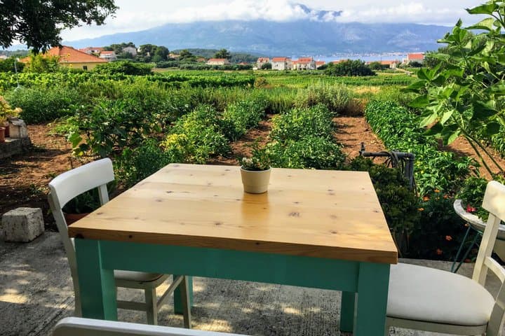 Visita turística privada de Dubrovnik a Korčula Pelješac y Ston desde Airbnb Playa Turquesa Ocean Club foto 4