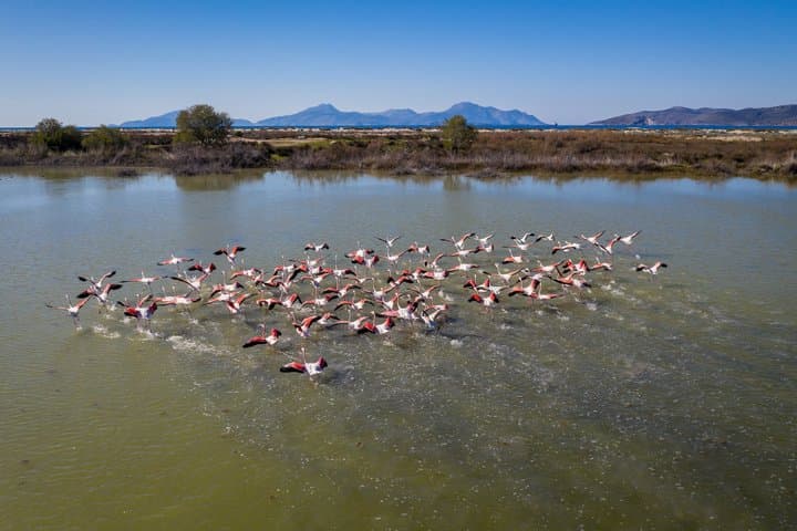 Kos North Coast Private Sightseeing and Photo Tour