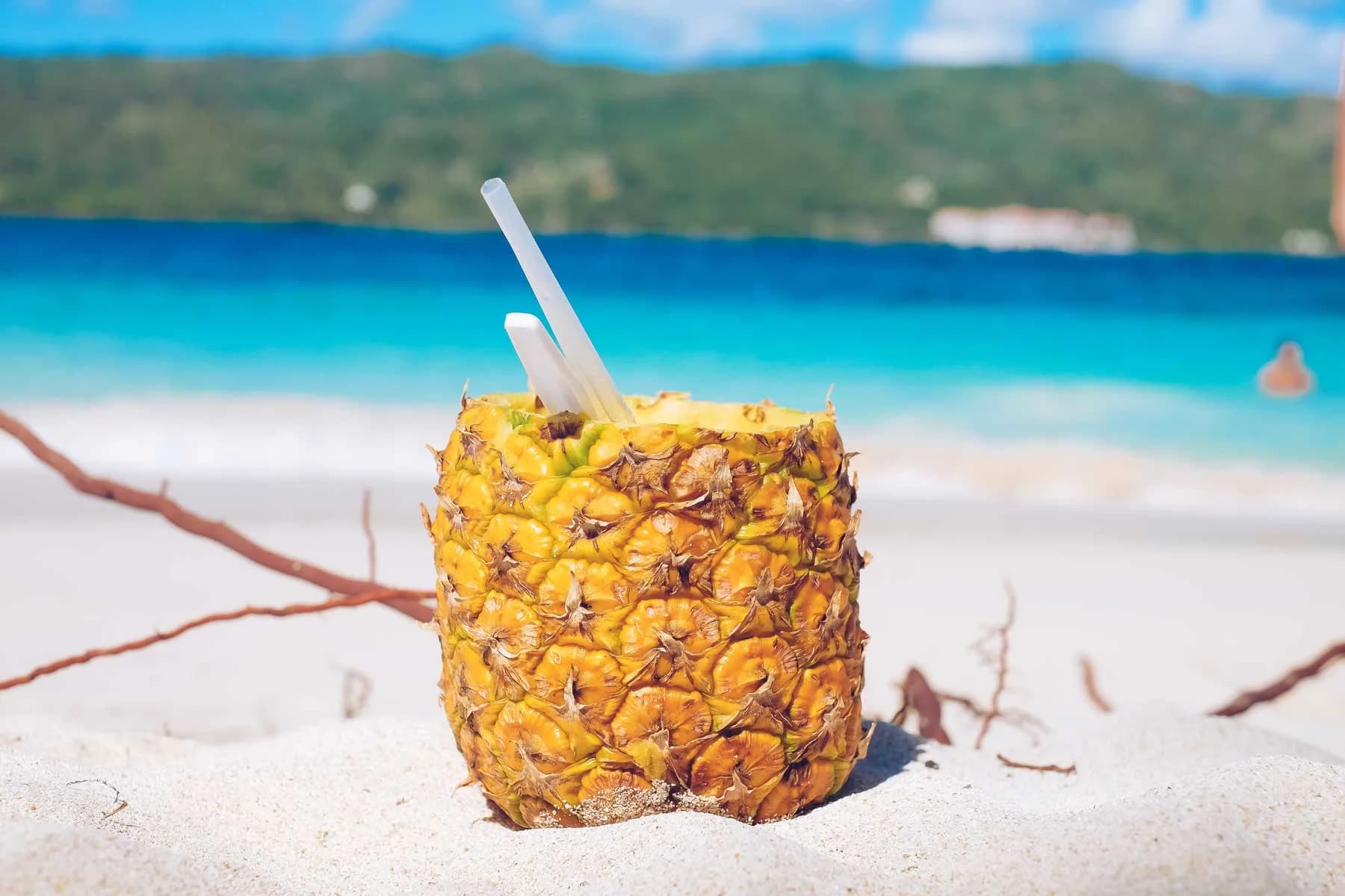 Avistamiento de Ballenas, Samaná Cayo Levantado y Cascadas desde Punta Cana: Que llevar: lista practica para disfrutar al maximo