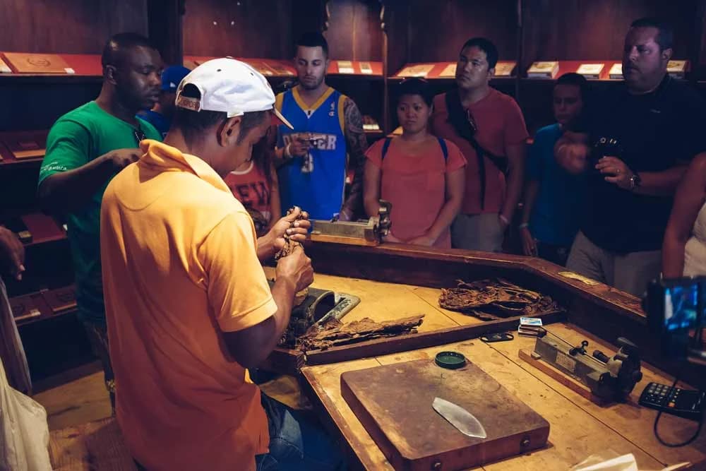 Observation des baleines, Samaná Cayo Levantado et cascades de Punta Cana : meilleure saison et horaires recommandés