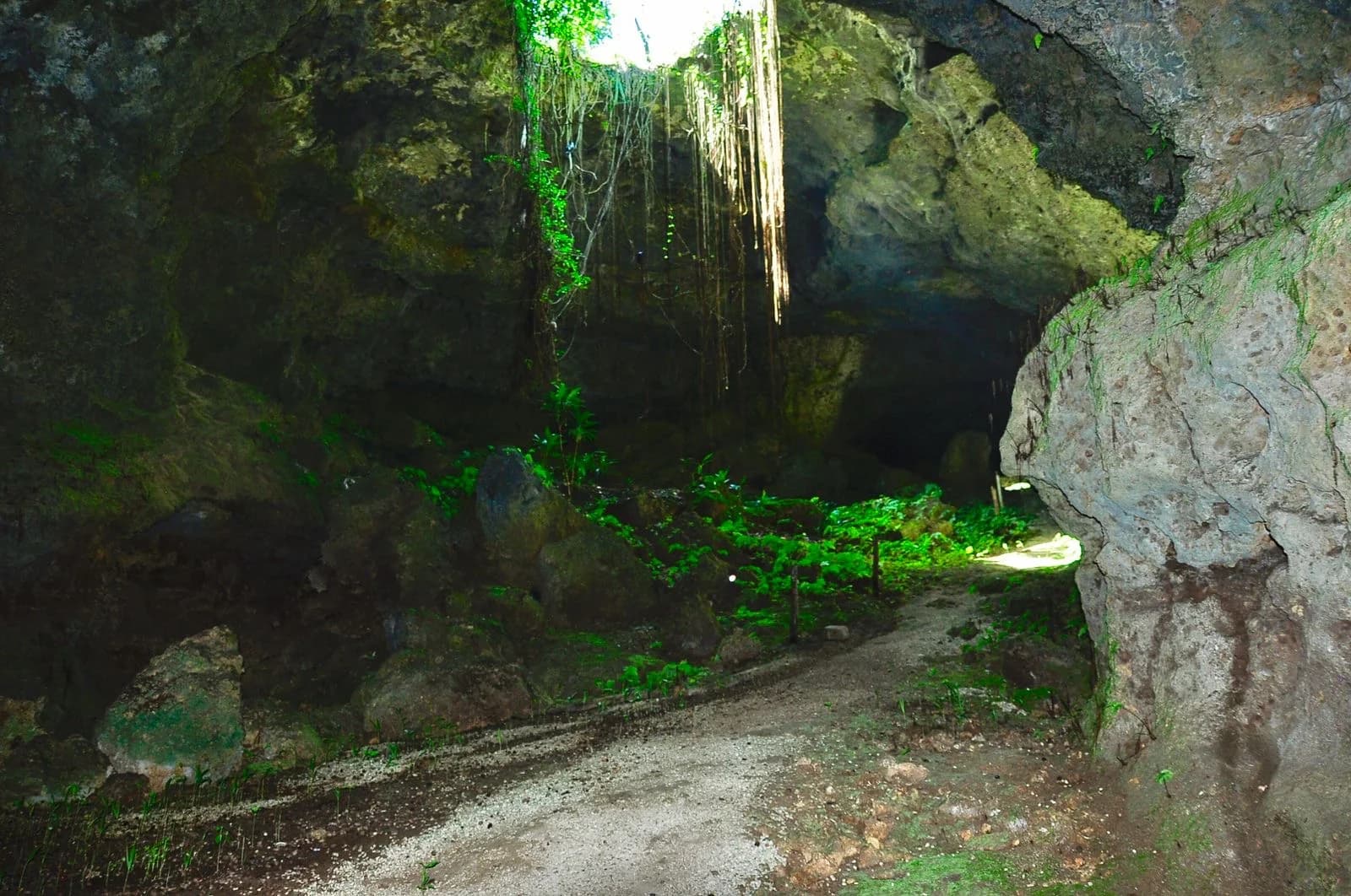 Laguna de Nisibón Adventure + Buggy imagen 2