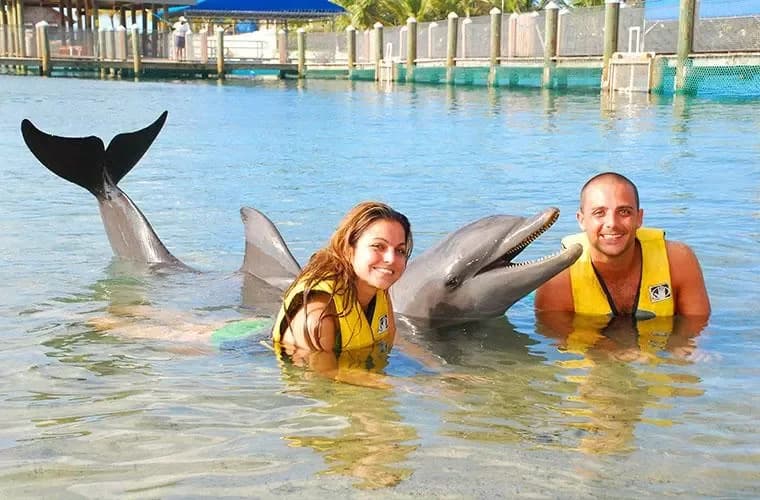 Ocean World Adventure Park Puerto Plata imagen 2