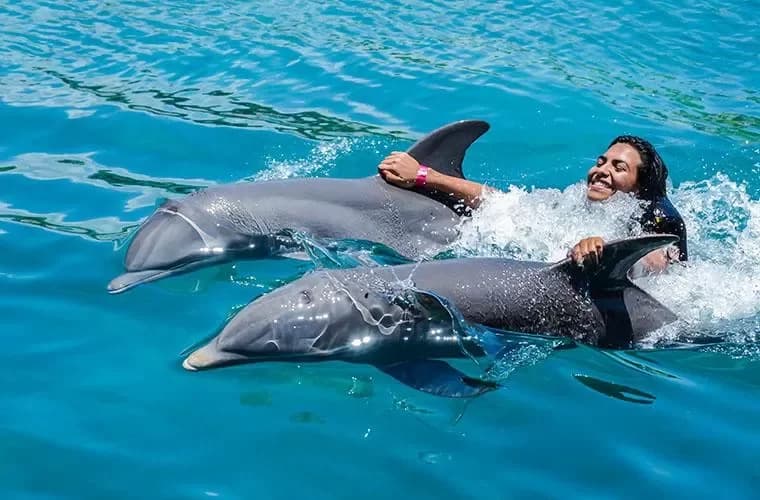 Ocean World Adventure Park Puerto Plata : itinéraire complet étape par étape