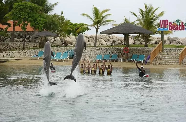 Ocean World Adventure Park Puerto Plata : Sécurité et recommandations clés avant de partir