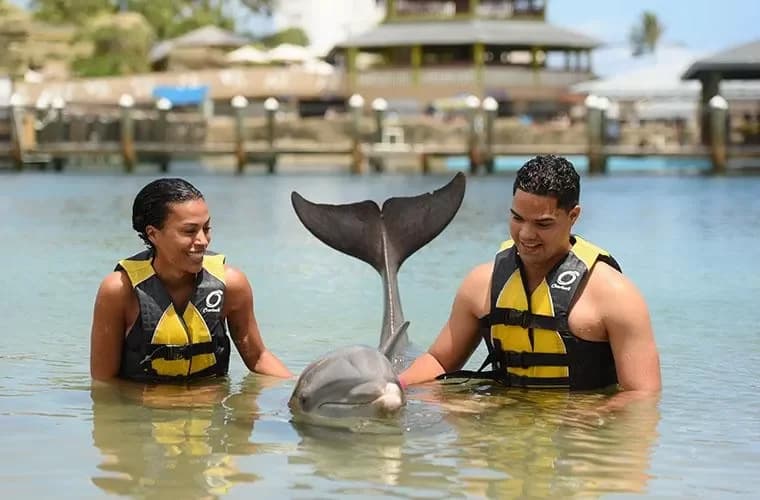 Ocean World Adventure Park Puerto Plata: What to bring: practical list to enjoy to the fullest