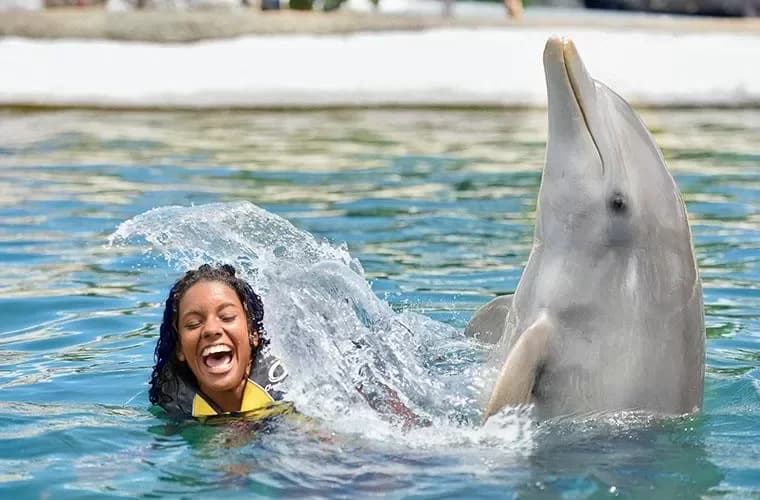 Ocean World Adventure Park Puerto Plata : Meilleure saison et horaires recommandés