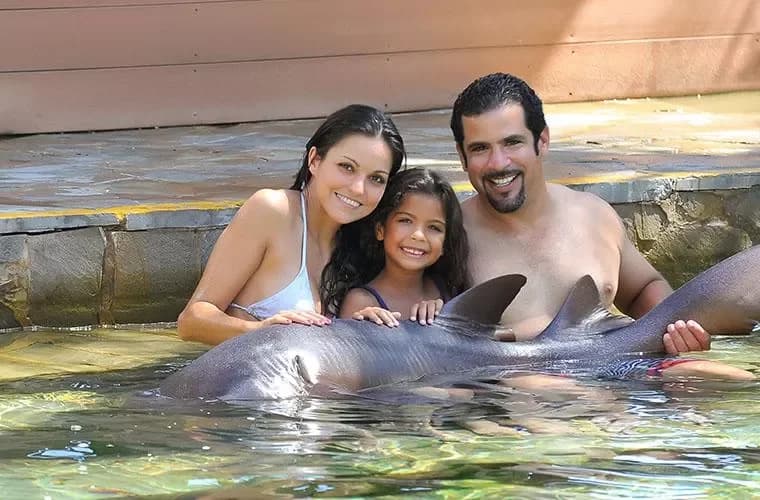 Ocean World Adventure Park Puerto Plata: Frequently asked questions clearly answered