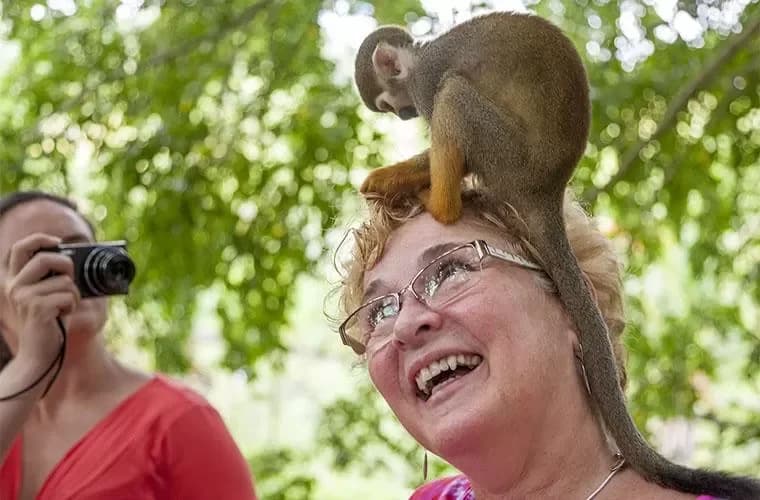 Tour Monkey Land Punta Cana imagen 4