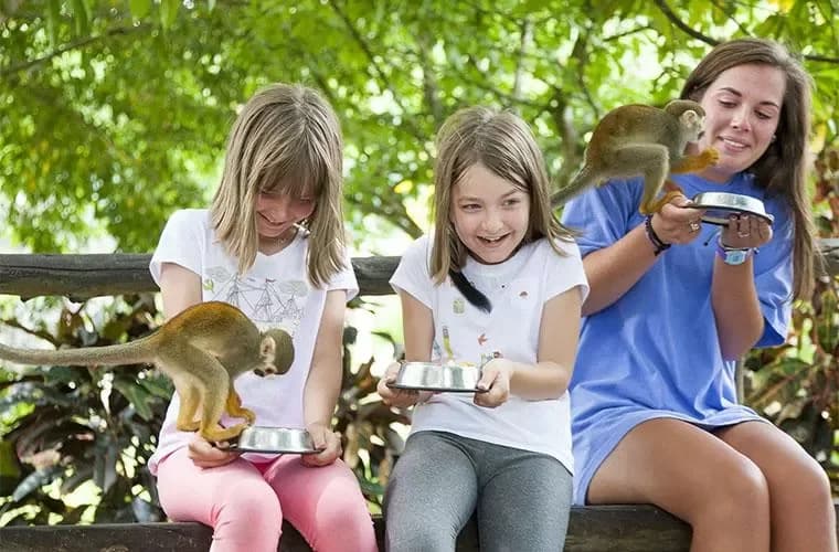 Tour Monkey Land Punta Cana: Itinerario completo paso a paso