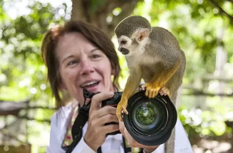 Tour Monkey Land Punta Cana: Seguridad y recomendaciones clave antes de salir