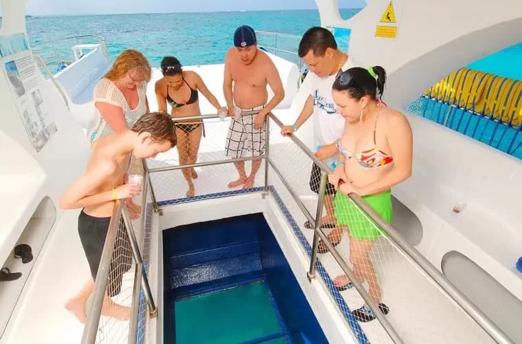 Marinarium Snorkeling Cruise in Punta Cana imagen 3