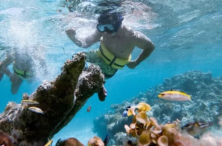 Marinarium Snorkeling Cruise in Punta Cana: Itinerario completo paso a paso