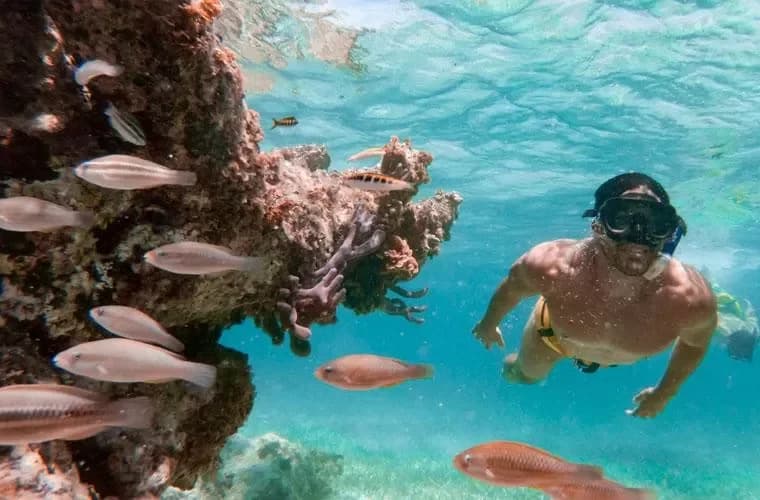 Marinarium Snorkeling Cruise in Punta Cana: Seguridad y recomendaciones clave antes de salir