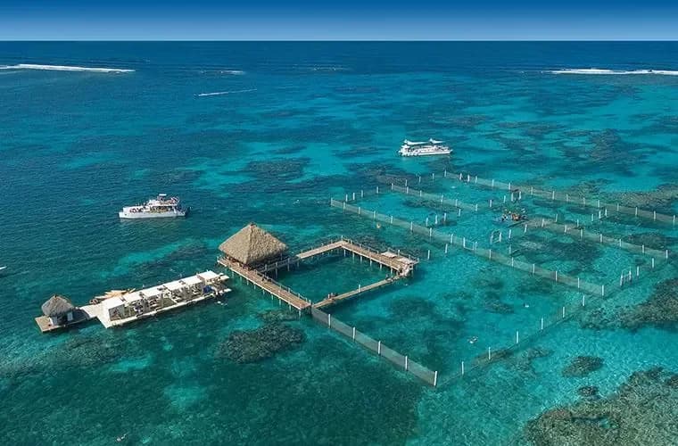Marinarium Snorkeling Cruise in Punta Cana: Mejor temporada y horarios recomendados