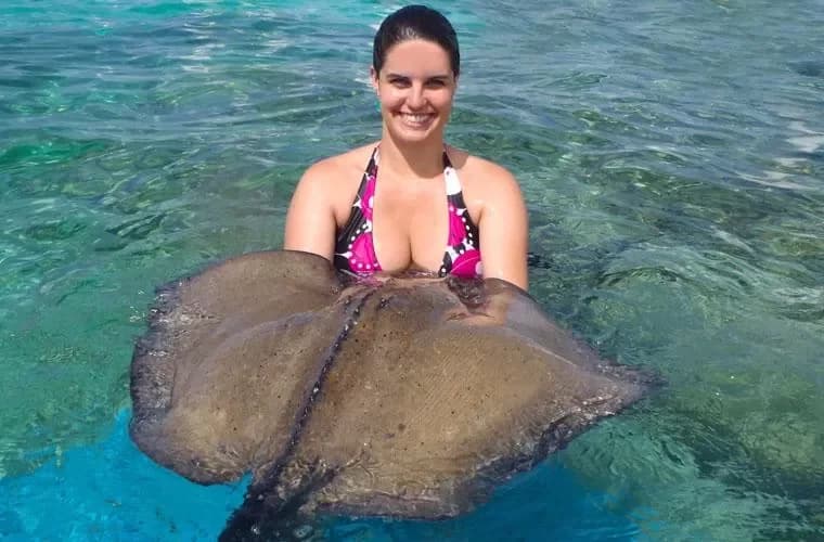 Croisière Snorkeling Marinarium à Punta Cana : Comparatif : options similaires et comment bien choisir