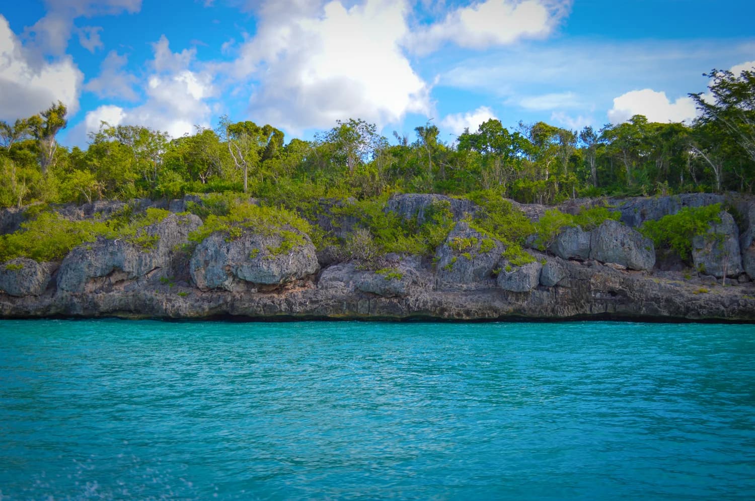 Tour Isla Saona desde Bayhibe / La Romana desde Airbnb Cadaques Caribe Resort & Residences foto 3