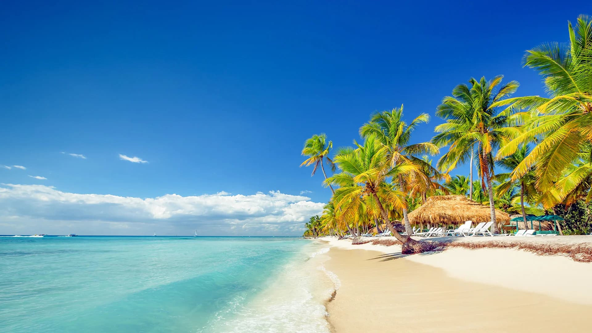 Isla Saona desde Santo Domingo desde Airbnb Playa Turquesa Ocean Club foto 5